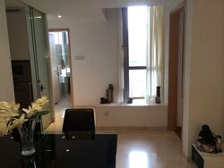 Angullia Park Residences @ Orchard (D10), Apartment #498097211